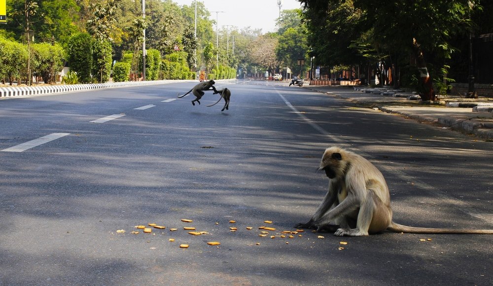 Фотография автора Pranay Shah