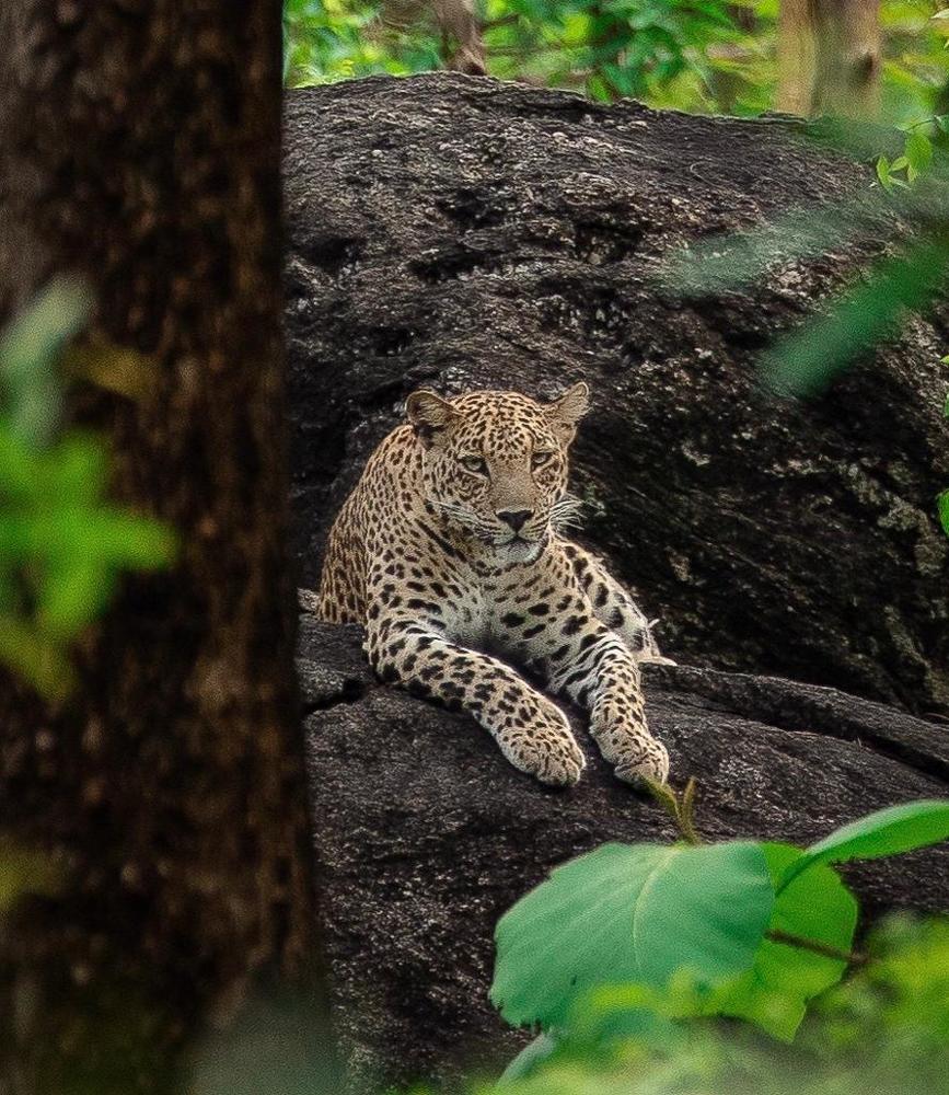 Photograph by Shamim