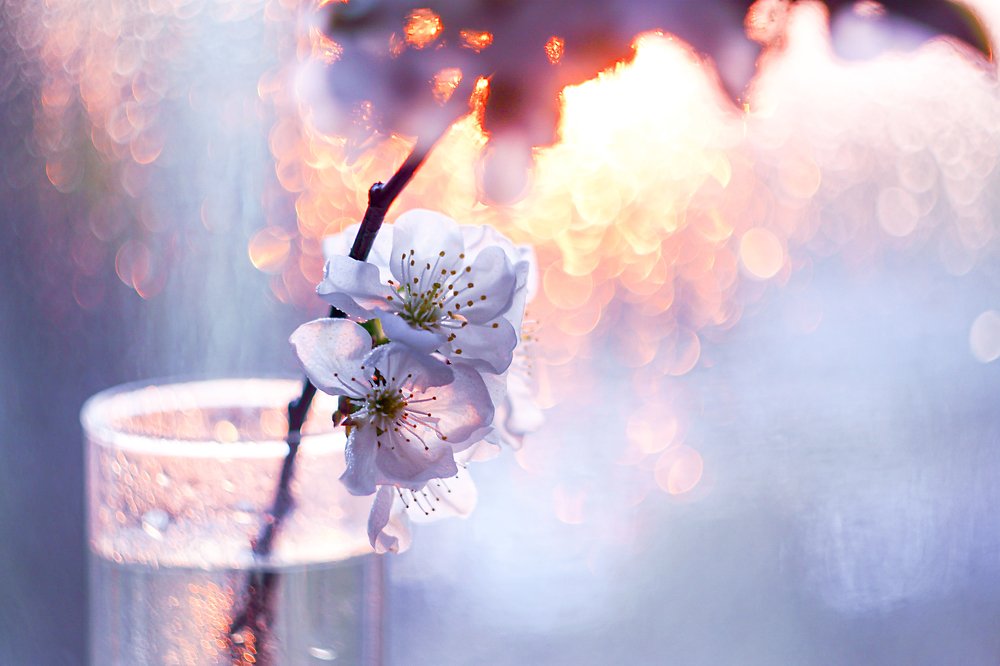 Photograph by Марина Соколова