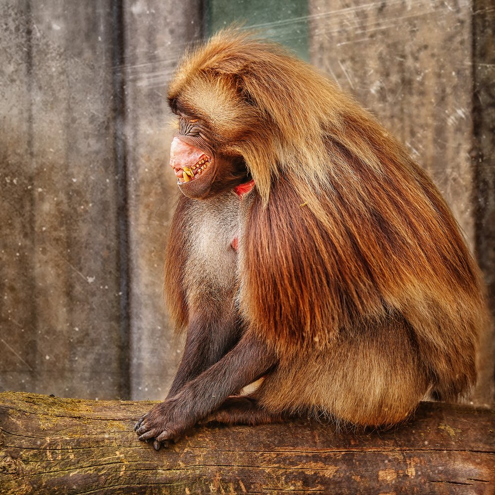 Photograph by Elena Gebert