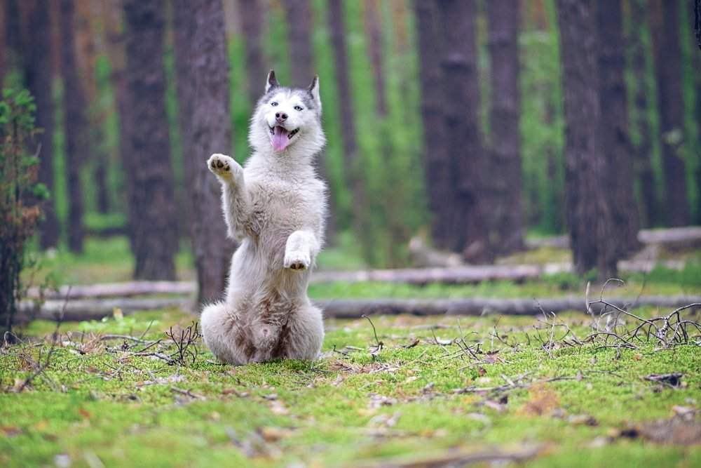 Фотография автора Мария Яропольская