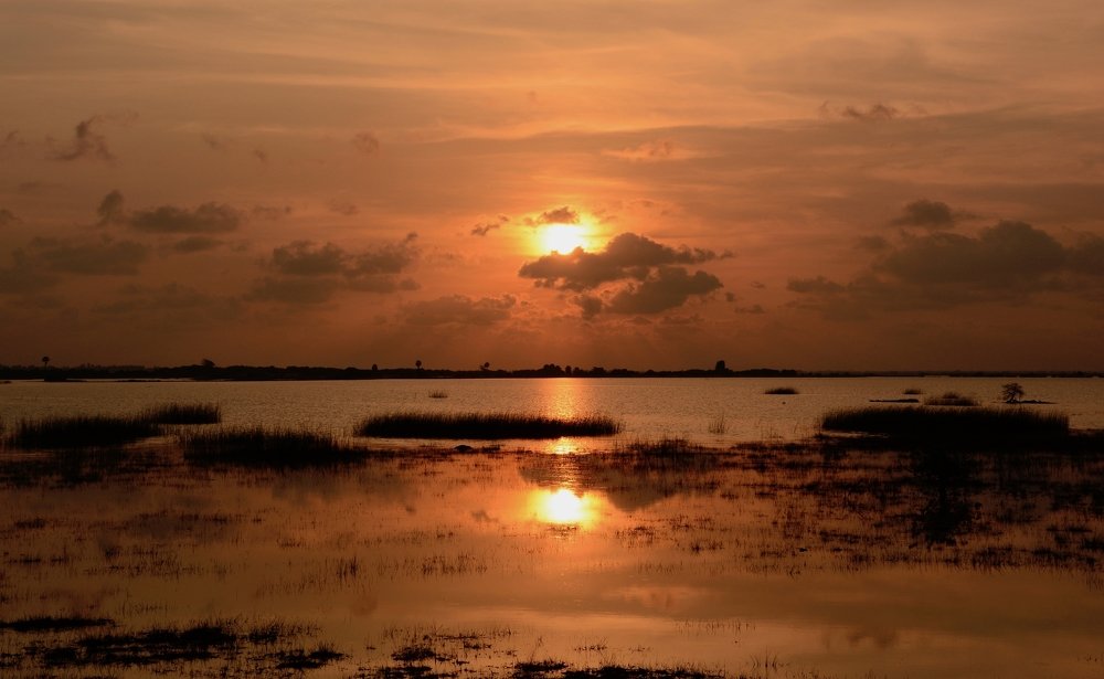 Photograph by Bhavana Sivayokan