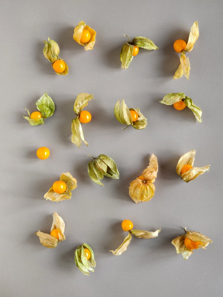 Photograph by Елена Башмакова