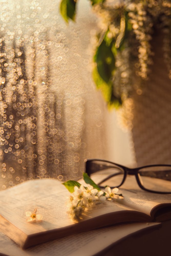 Photograph by Анна Белка