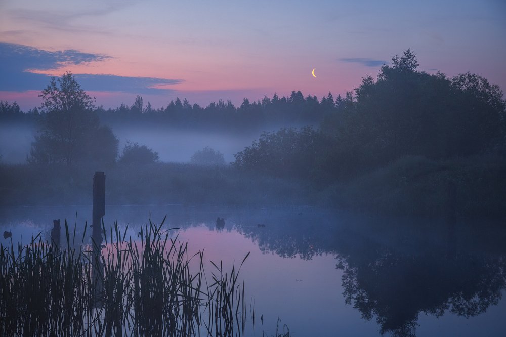 Утро на озере