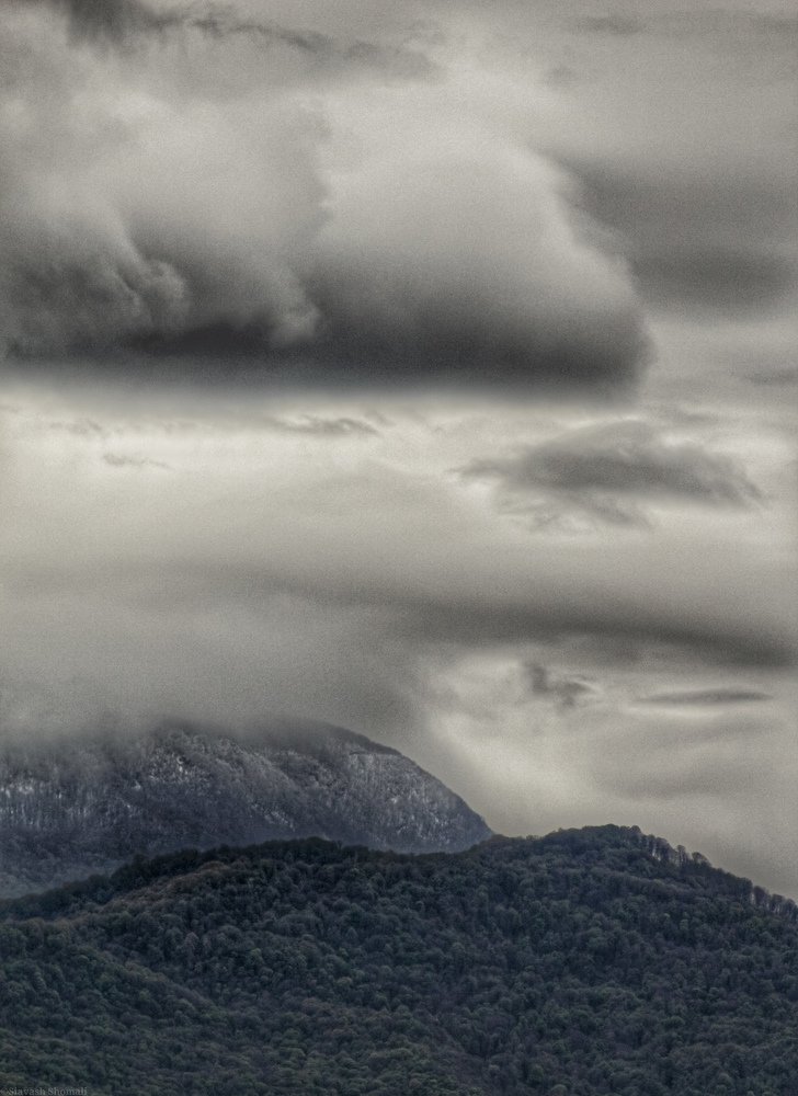 Photograph by Siavash Shomali