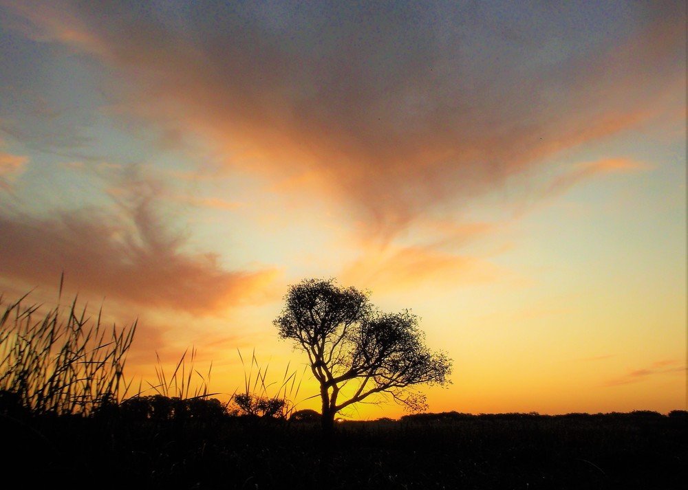 Photograph by Graciela Ruiz