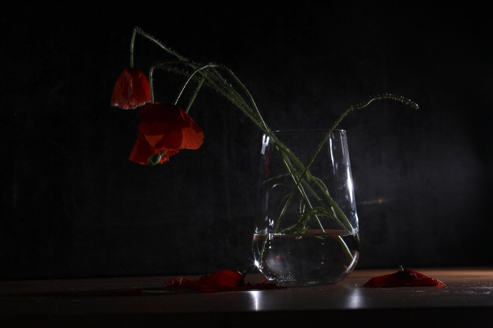 Photograph by Evgeniya Gribova