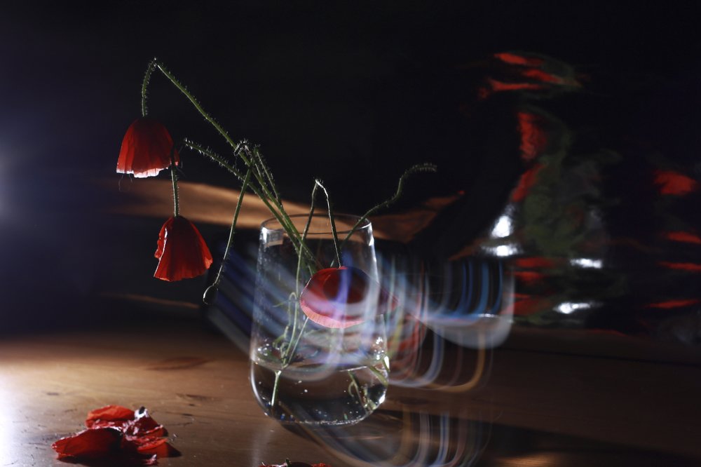 Photograph by Evgeniya Gribova