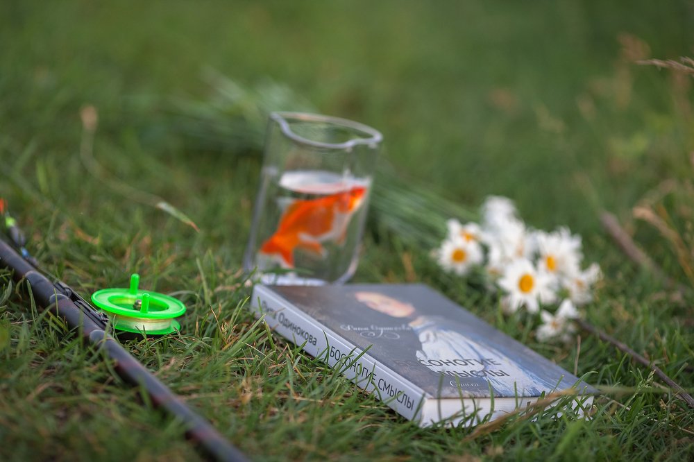 Photograph by Рита Одинокова