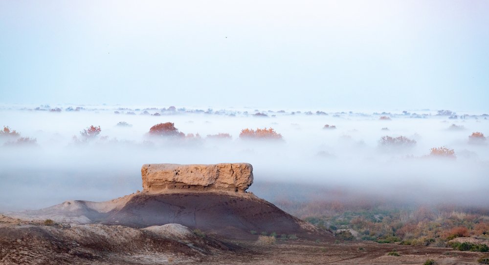 Photograph by Марат Наджибаев