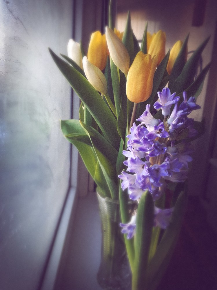 Photograph by Анна Дорофеева