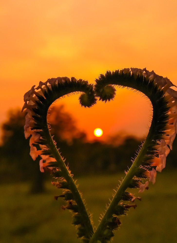 Photograph by Utpal Bera