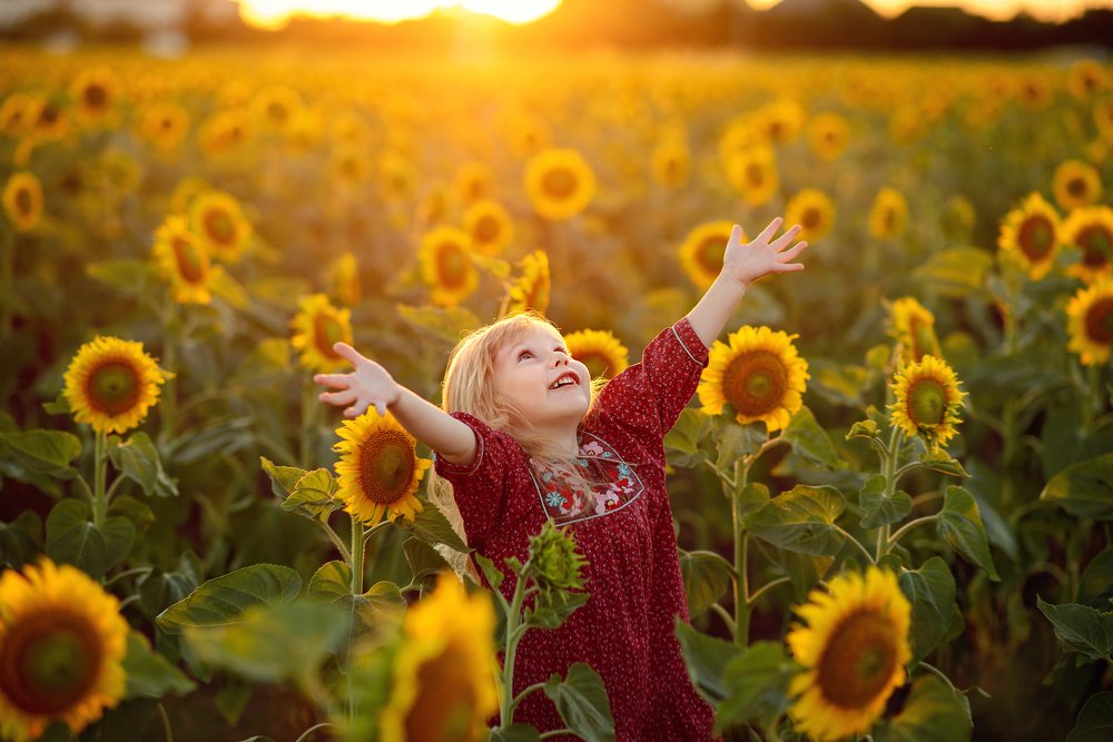 Поцелуй солнца