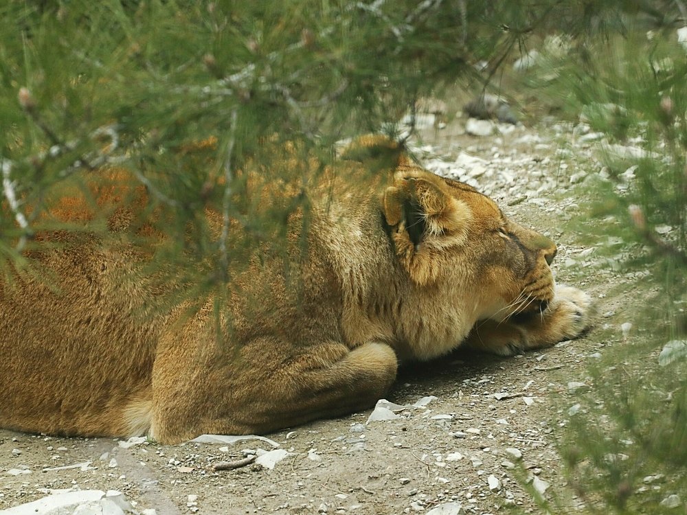 Photograph by Олег Башкуров