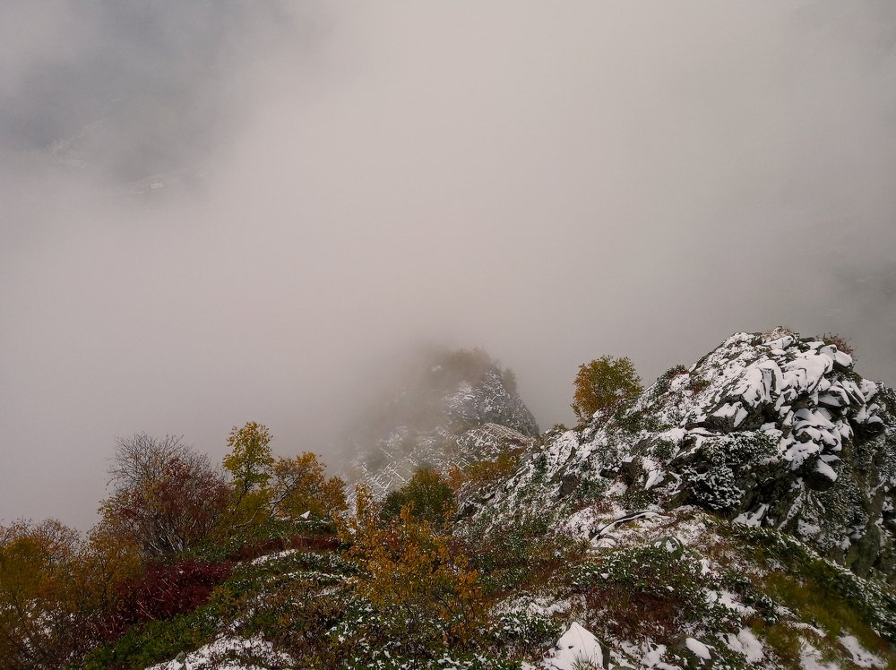 Photograph by Татьяна Шелудяк