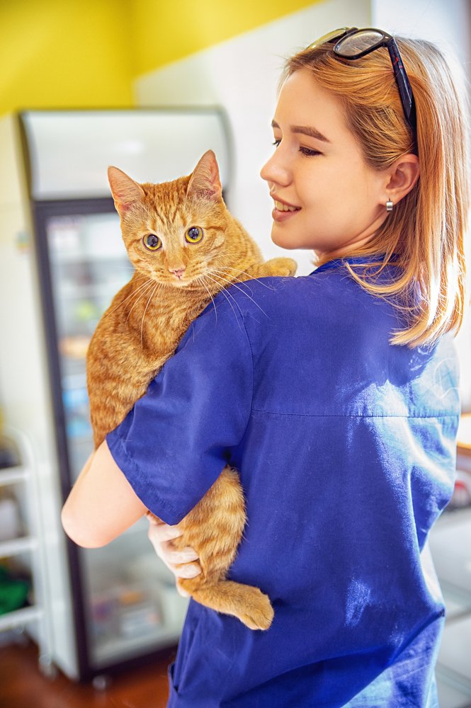 Фотография автора Иван Сафронов