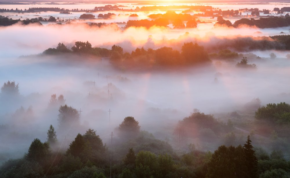 Сквозь туман