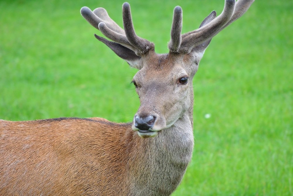 Фотография автора Justyna Jeżak