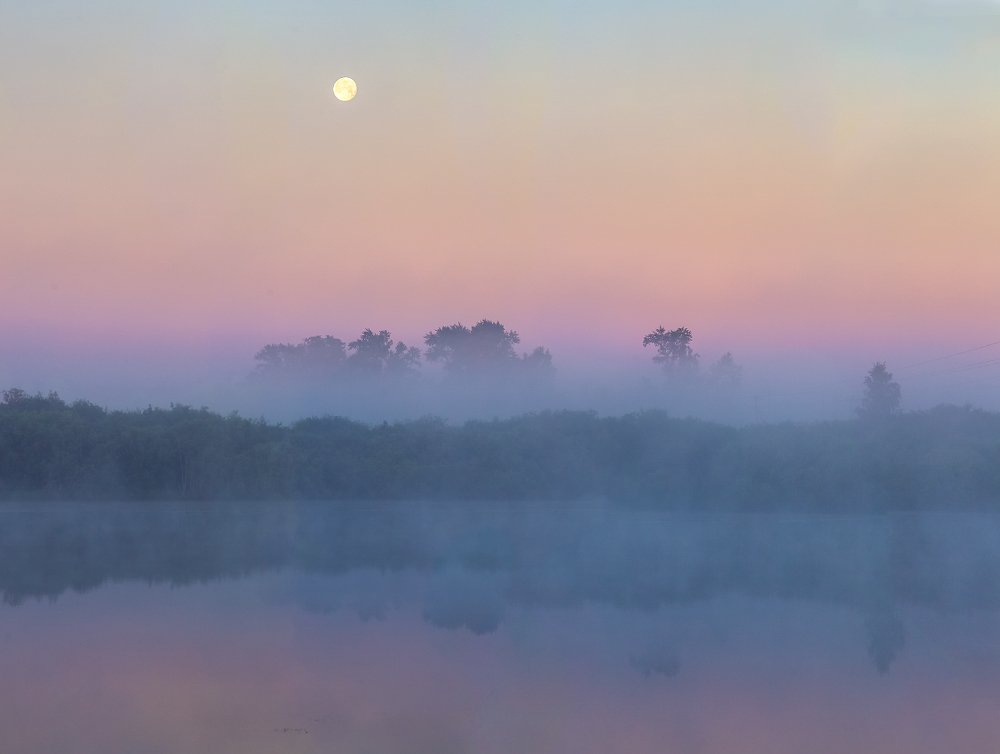 Photograph by Дмитрий Алексеев