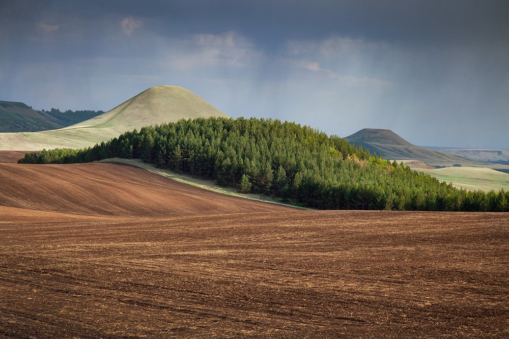 Photograph by Тамара Андреева