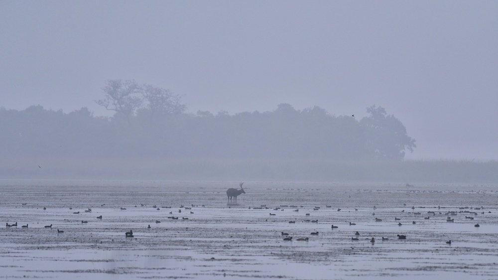 Photograph by Digambar Chaple