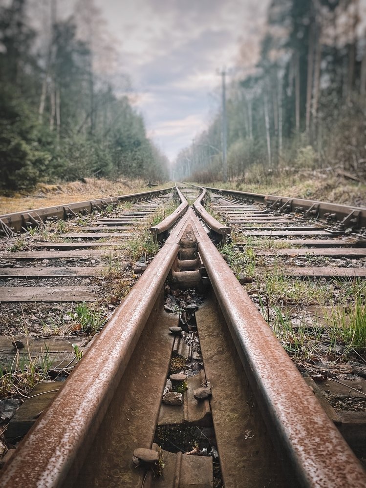 Photograph by Юлия