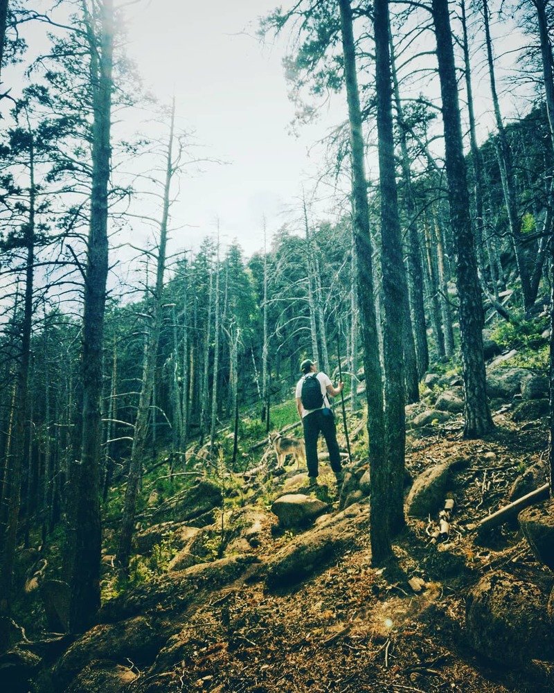 Photograph by Виталий Куркин