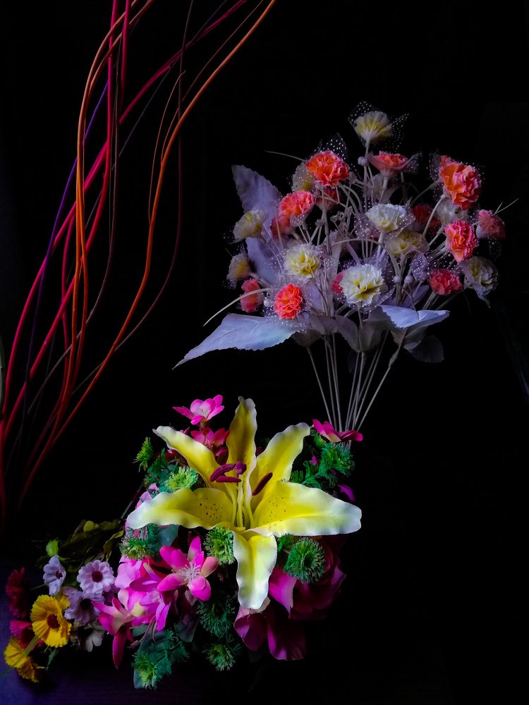 Фотография автора Sheikh Masud