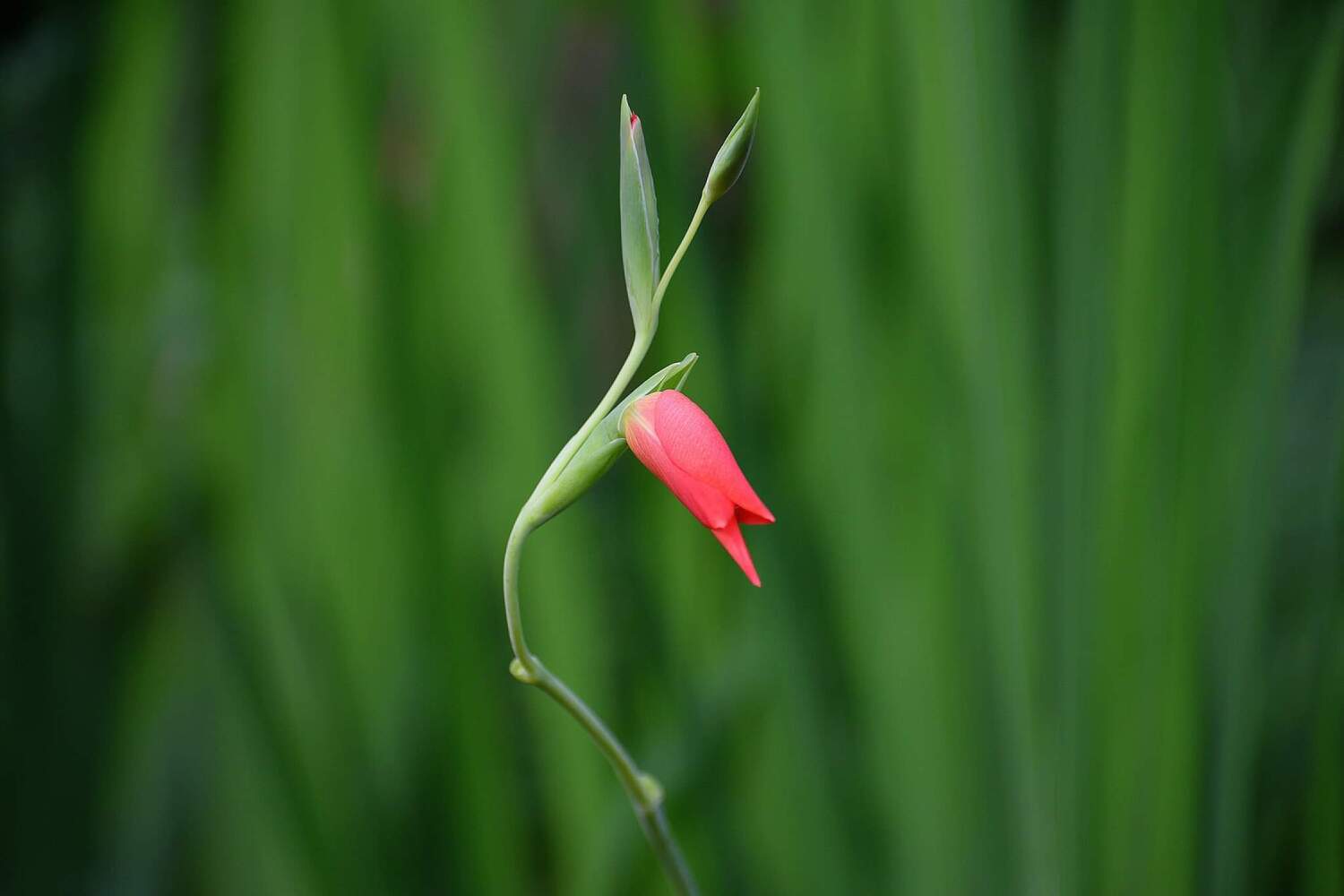 Photo #4778800