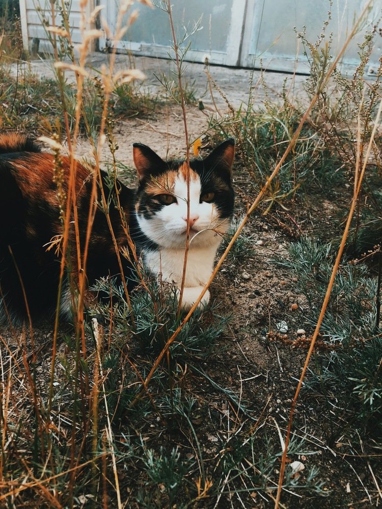 Photograph by Саргылаана Дмитриева