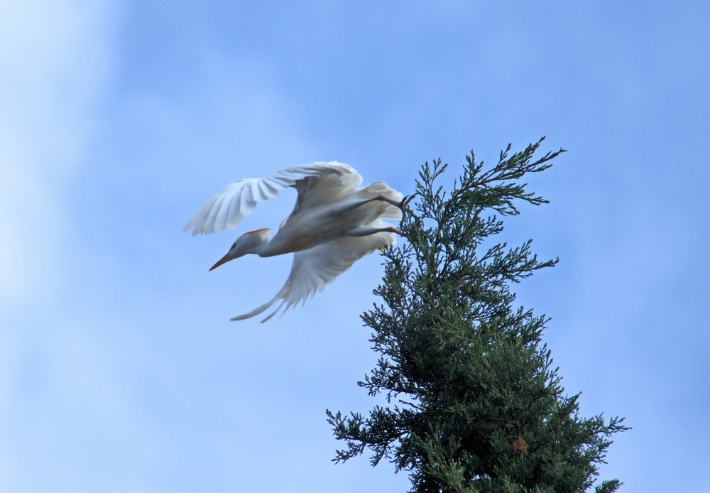 Photograph by Борис Ганцелевич