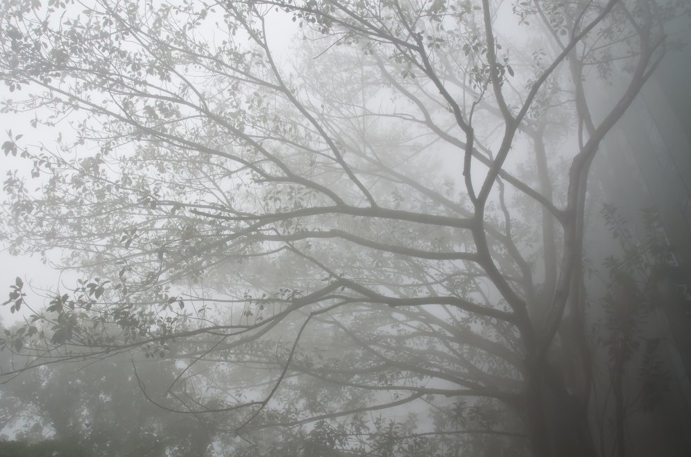 Photograph by 