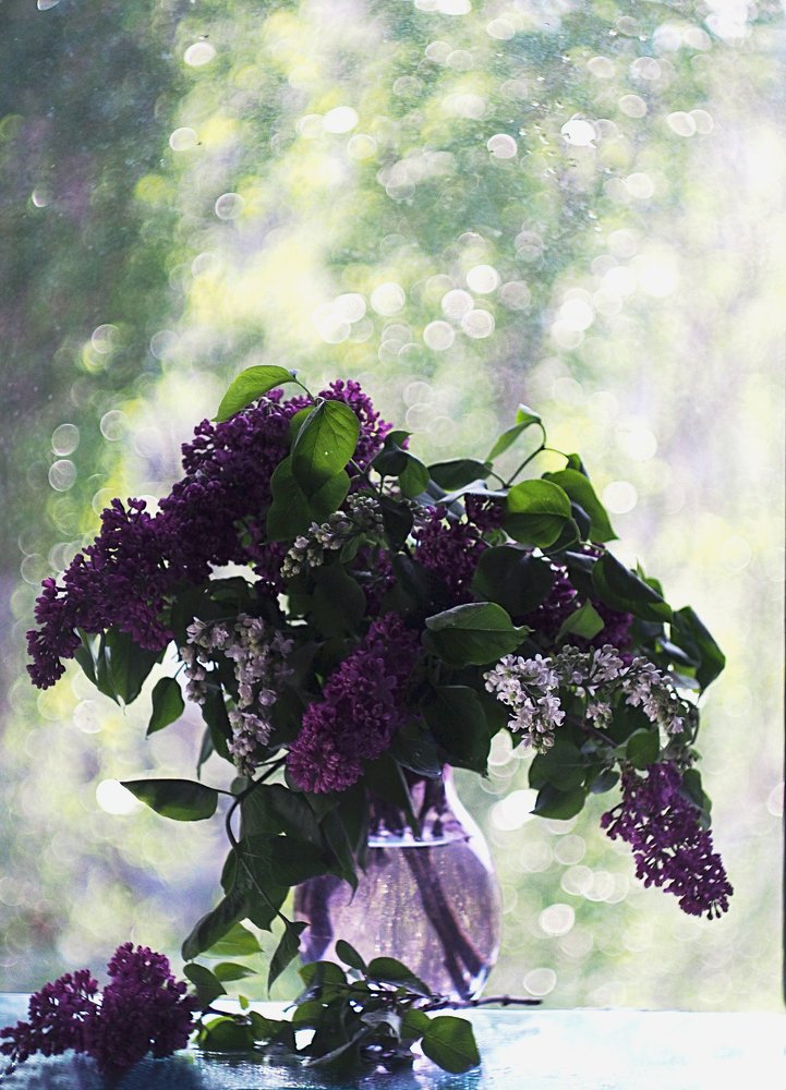 Фотография автора Svetlana Inyusheva