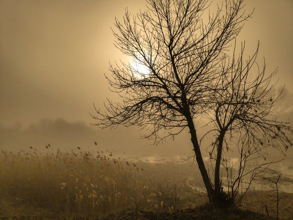 Photograph by Евгений Симион