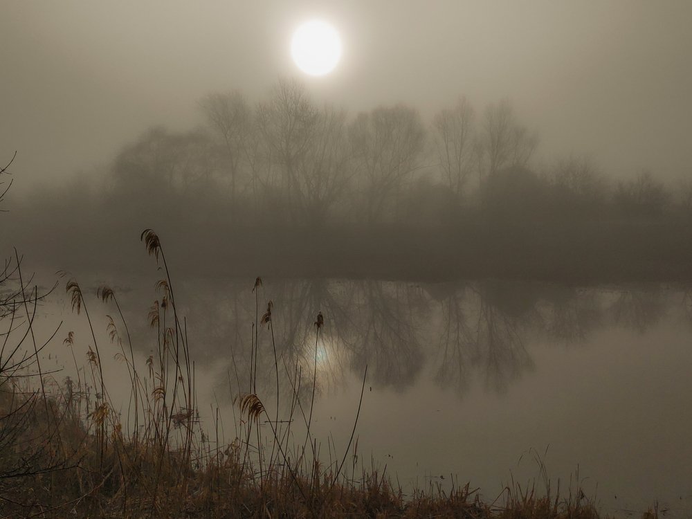 Photograph by Евгений Симион
