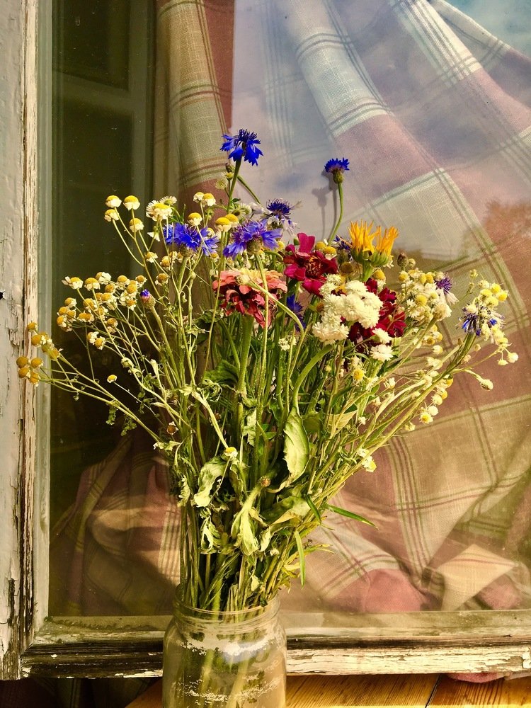 Photograph by Елена Ким