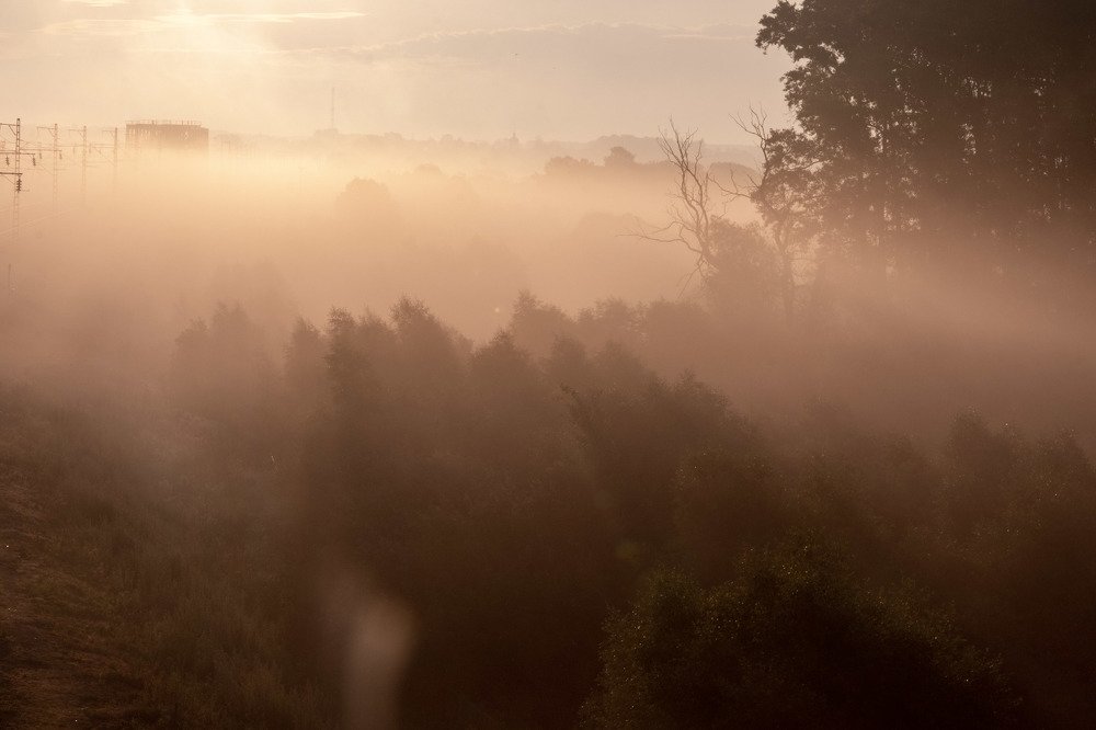 Photograph by Sergey Larin