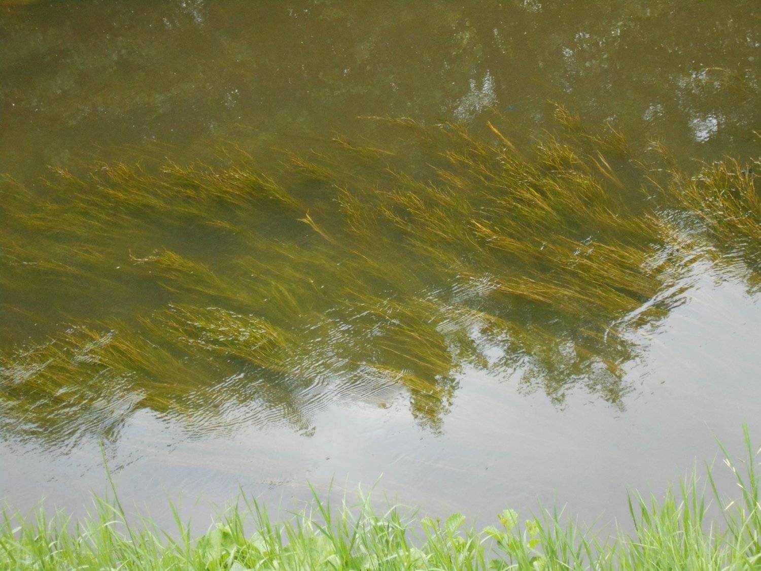 Photo #4779194