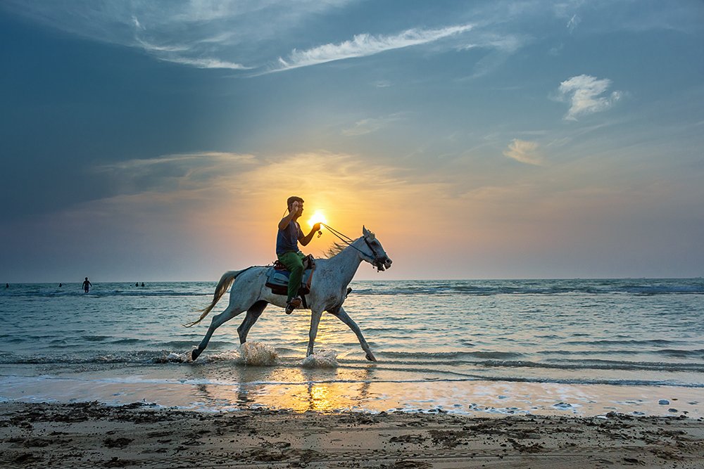 Horse riding on the beach of Bushehr, next to the Russian camp