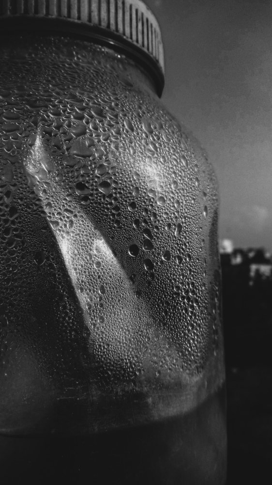 Photo #4779249