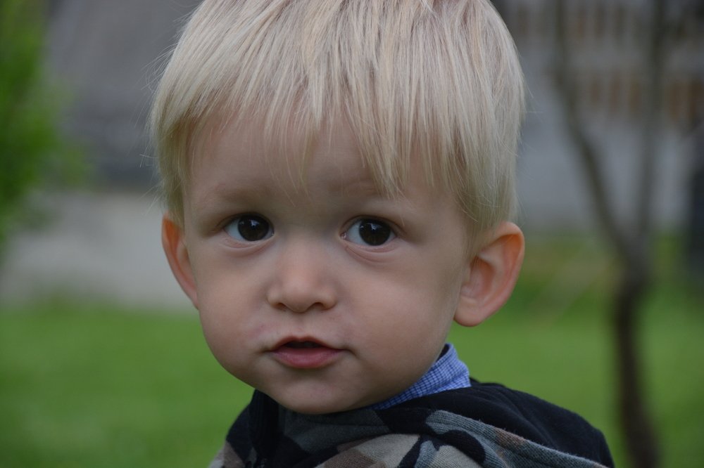 Photograph by Марина Шевцова