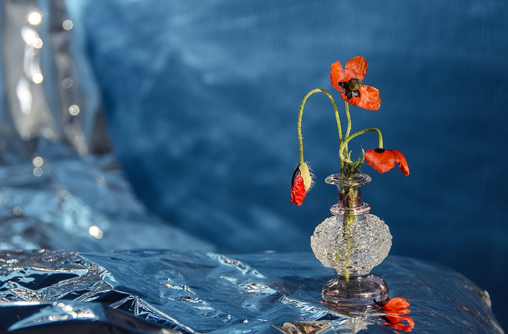 Photograph by Оксана Носкова