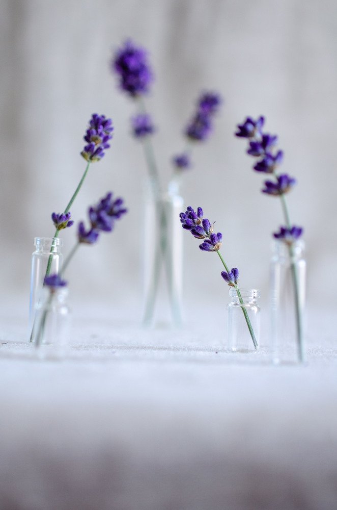 Photograph by Оксана Носкова