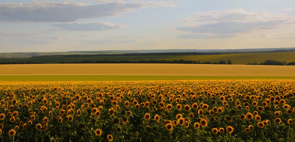 Photograph by Валерия Маркова