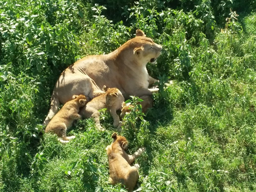 Photograph by Руслан Богатов