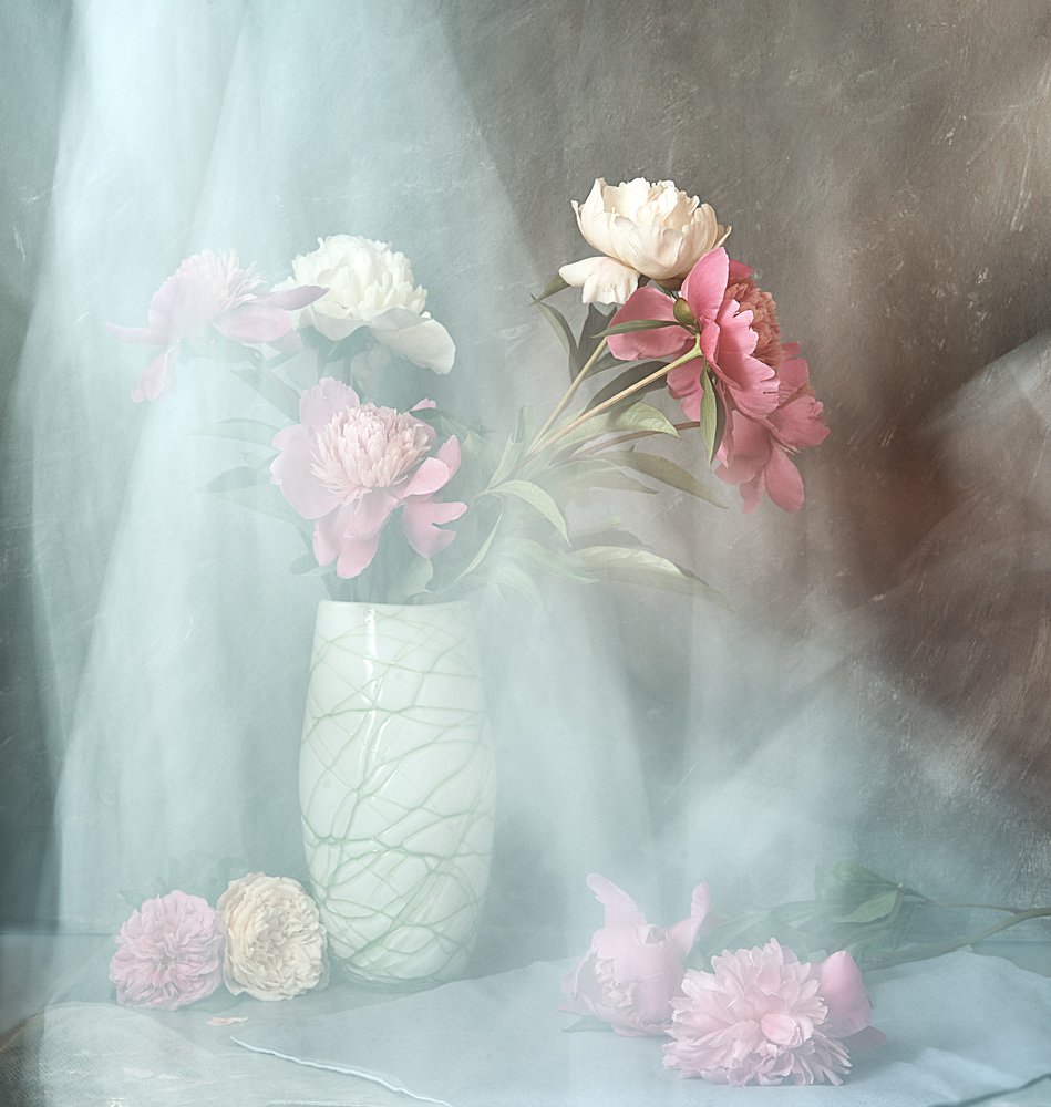 Photograph by Лариса Процкова