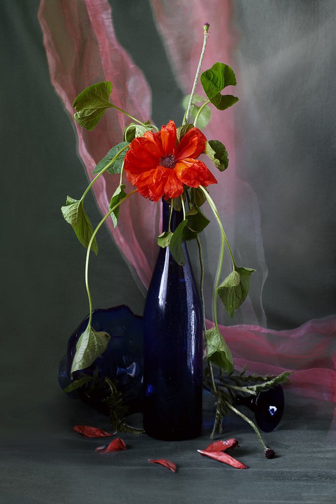 Photograph by Лариса Процкова