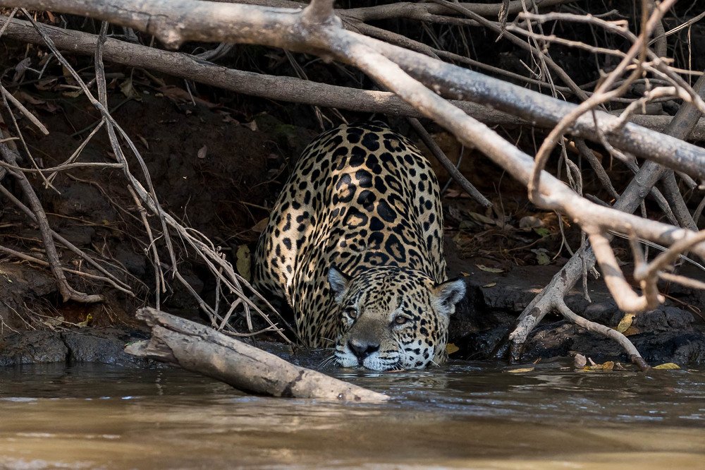 Photograph by Марина Маликова