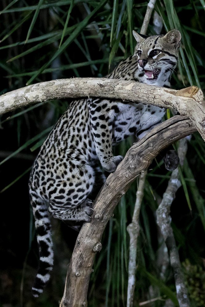 Photograph by Марина Маликова